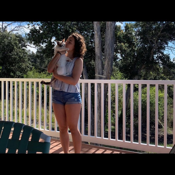 Meet your Posher, Malia - Picture 4 of 7